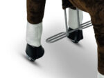 My Pony, Riding Toy Horse From Rollzone ®, 8+ (Mp2009-L) - Slika 5