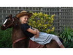 My Pony, Riding Toy Horse From Rollzone ®, 8+ (Mp2009-L) - Slika 7