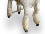 My Pony, Riding Toy Unicorn From Rollzone ®, 3 - 6 Years (Mp2041-S) - Slika 6